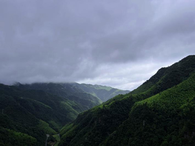 First stop: Ling Jiang Yuan Forest Park