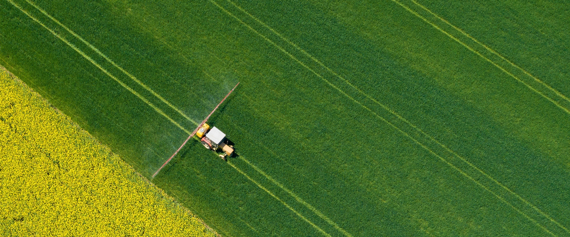 Agricultural Processing